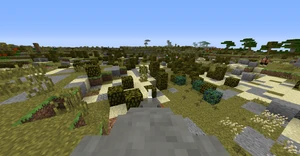 Riding a rhino through the scrubland.