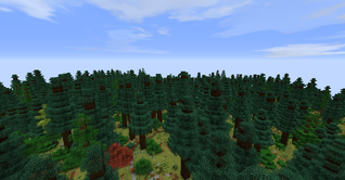 Dense Spruce Forest