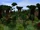Panorama Woodland Realm Hills.png