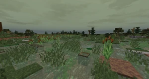 FacebookRenewed2.6Swamp1