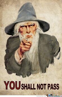 Gandalf-told-you o 342674.jpg