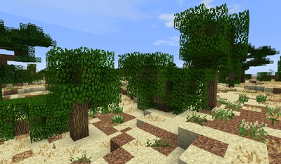 Harondor B27.2 - Desert Oaks