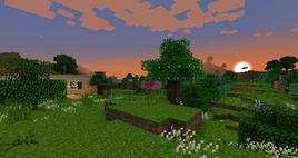 Shire