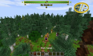 When held in hand, however, the normal name displayed.