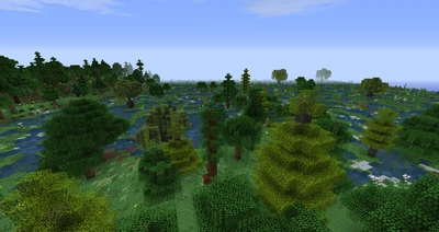 GladdenFieldsForest1