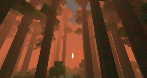 遠ハラドの雲霧森林