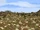 Panorama Far Harad Arid Hills.png