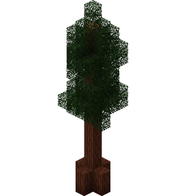 Redwood