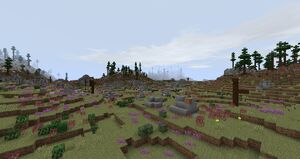 FacebookRenewed2.2Ettenmoors.jpg