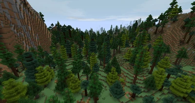 Grey Mountains Foothills