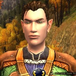 Elf Hair Styles Male エルフの髪型 男性 Jalotro Fandom