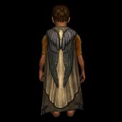 Cloak of the Raven 大カラスのマント LOTRO Store　 195 