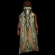 Cloak of the Windsinger 風の歌い手のマント LOTRO Store　 195 