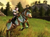 War-steeds