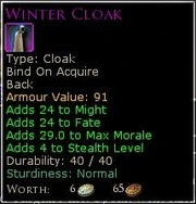 Winter Cloak