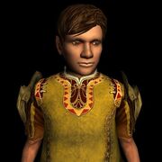 Westerling Pauldrons 西方製肩当て LOTRO Store　 295 