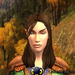 Elf Hair Styles Female エルフの髪型 女性 Jalotro Fandom