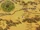 Dour Dwarves