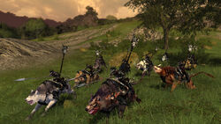 The Lord of the Rings Online: Riders of Rohan 