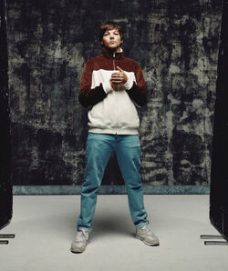 Other, Louis Tomlinson Walls Cd