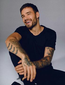 Liam Payne Louis Tomlinson Wiki Fandom