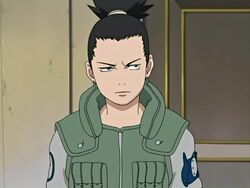 Shikamaru Apariencia