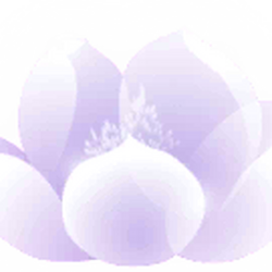 Wish Tree | Mr Love: Queen's Choice Wiki | Fandom