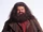 Rubeus Hagrid