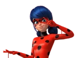 Ladybug