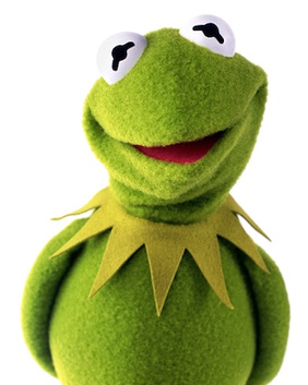 Kermie Soft Frog