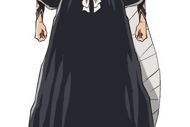 Ichigo Kurosaki | Love Exalted Wiki | Fandom