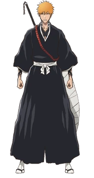 Ichigo Kurosaki | Love Exalted Wiki | Fandom