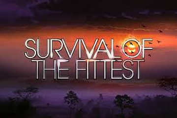 Survival of the Fittest (TV series) - Wikipedia