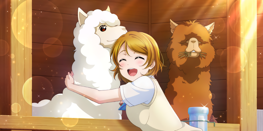 You Re Just So Cute Squeeze Love Live All Stars Wiki Fandom You Re Just So Cute Squeeze Love Live All Stars Wiki Fandom