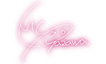 Nico Signature