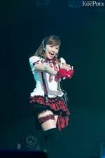 BushiroadCardGameLIVE2013 Pile2.jpg