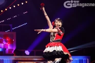 DiverDiva Big Bang 5.jpg (243 KB)
