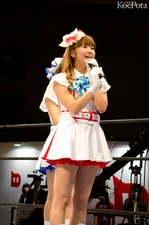 TokyoGameShow2012 Pile.jpg