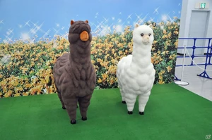 SIF Kanshasai 2015 8.jpg