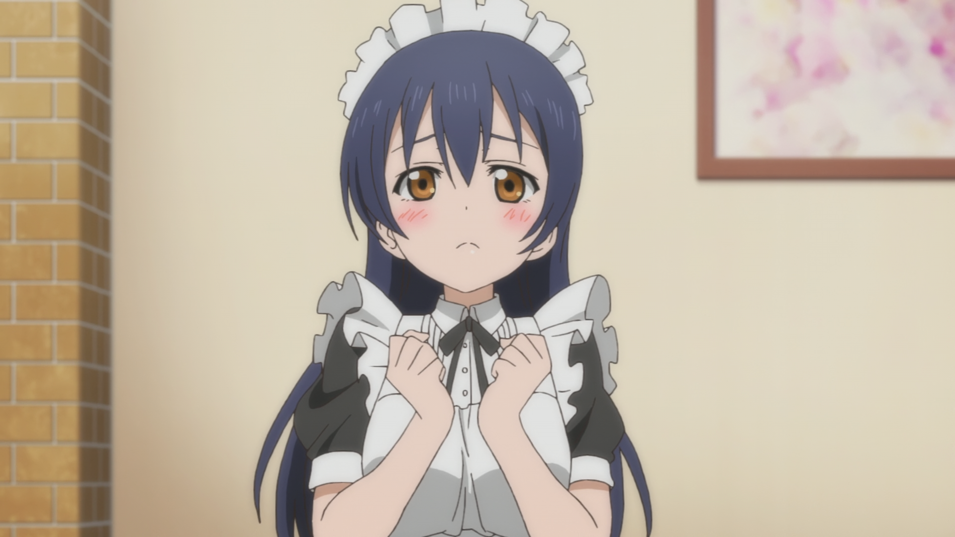 Umi Sonoda Love Live Wiki Fandom