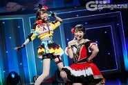 DiverDiva Big Bang 10.jpg (339 KB)