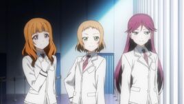 A-rise divise