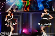 DiverDiva Big Bang 4.jpg (299 KB)