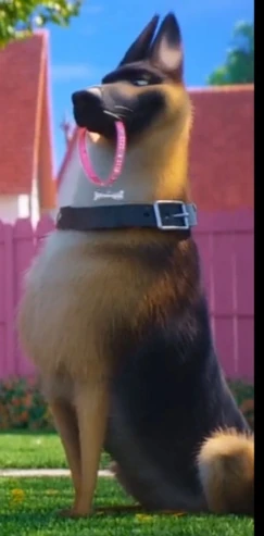 German Shepherd Love Rival Wiki Fandom