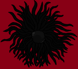 12 Shuy-Nihl