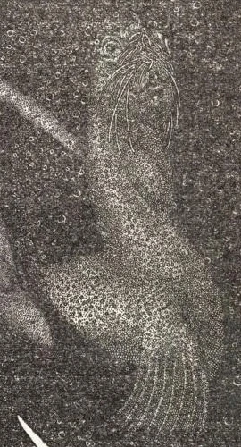 Sea-dweller | The H.P. Lovecraft Wiki | Fandom