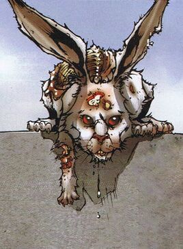White Rabbit (Zenescope Entertainment)