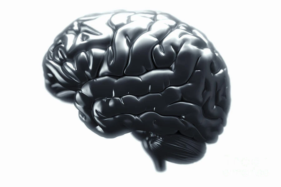 Metallic Brain | The H.P. Lovecraft Wiki | Fandom