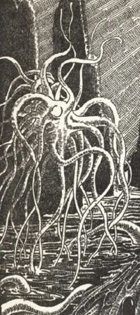 Symbolists and Symbolism (英語版・ハードカバー) Amazon.co.jp: The Half-Blood: A Cultural Symbol in 19th