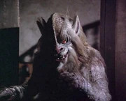A canine-looking ghoul from Night Gallery's "Pickman's Model"